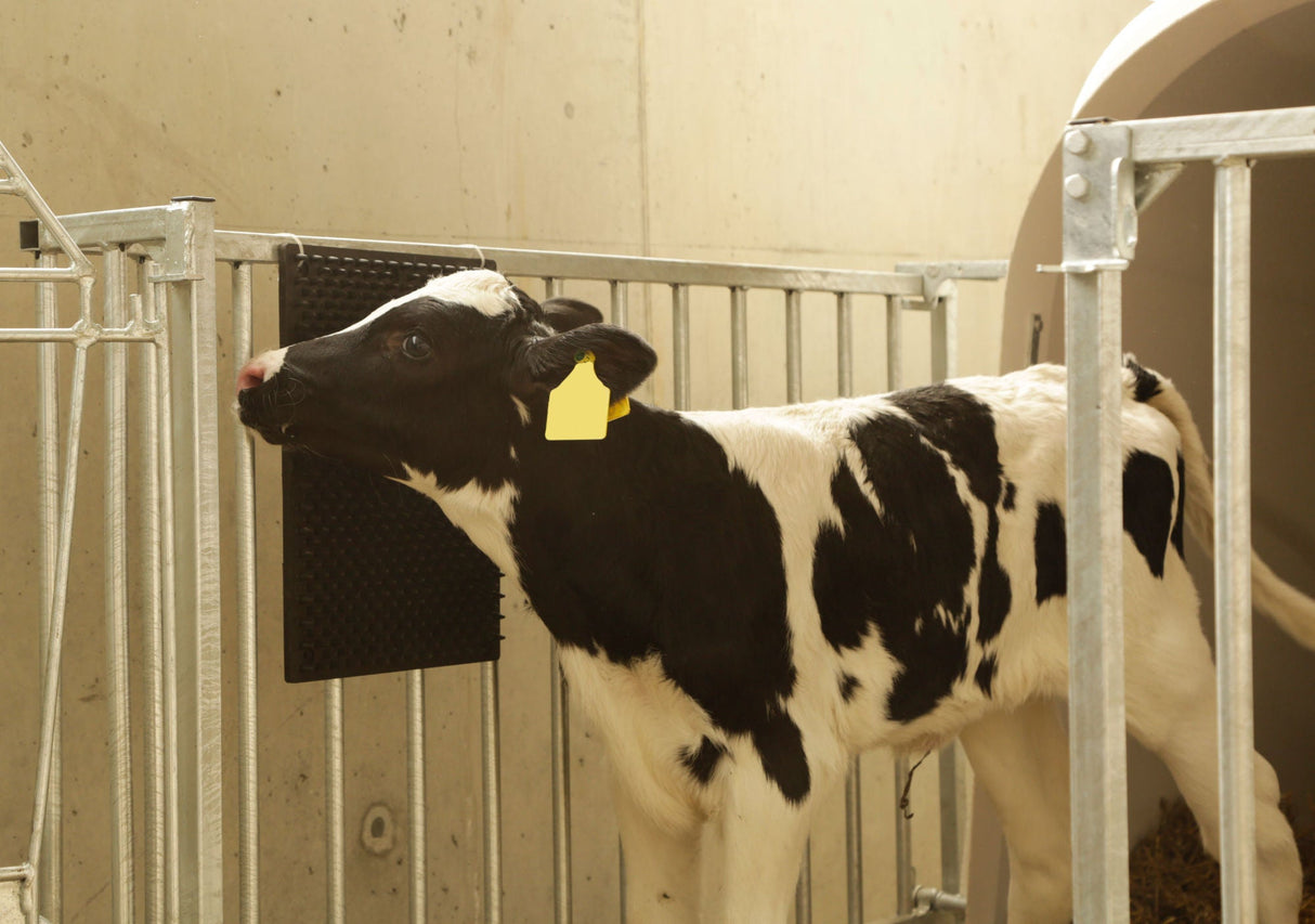 Kerbl Kratzmatte 30x40cm für Säulen- oder Wandmontage 1 Stück 32678