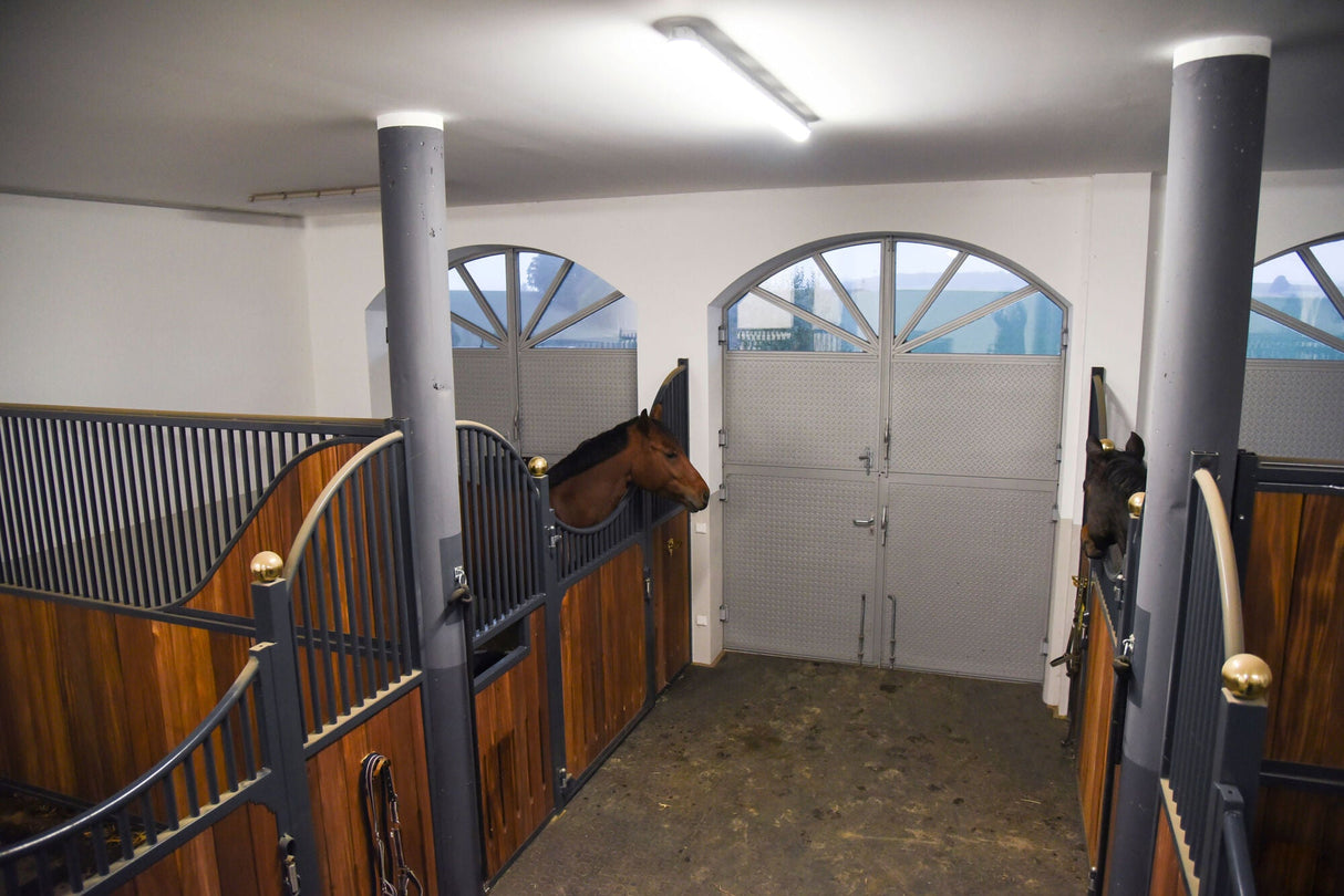 Kerbl IPCam 360 FHD mit opt. Zoom 1 Stück 10809