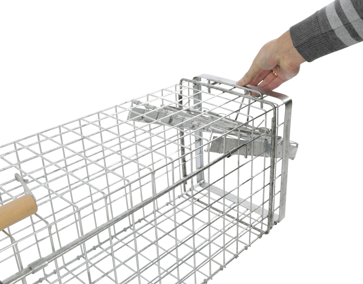 Kerbl Artikel 299476 im Online Shop kaufen