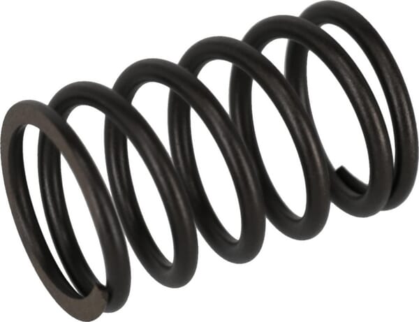 Valve spring