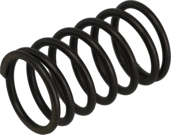 Valve spring