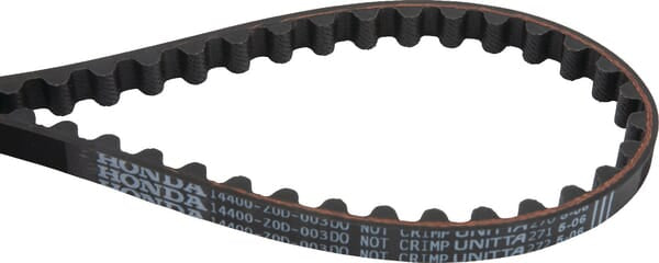 courroie de distribution