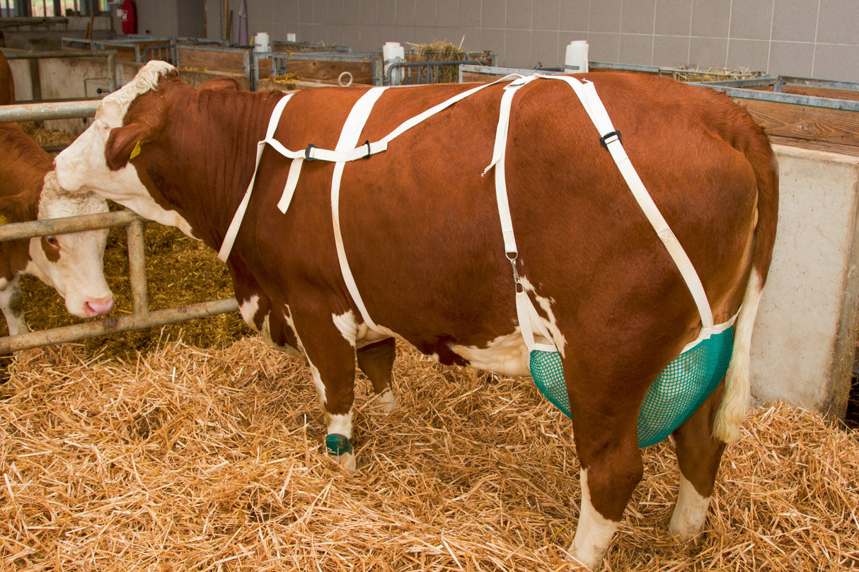 Kerbl Artikel 1567 im Online Shop kaufen