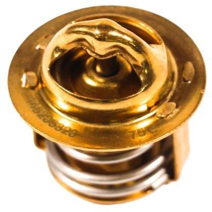Perkins Thermostat - 1 Stück - 145206320