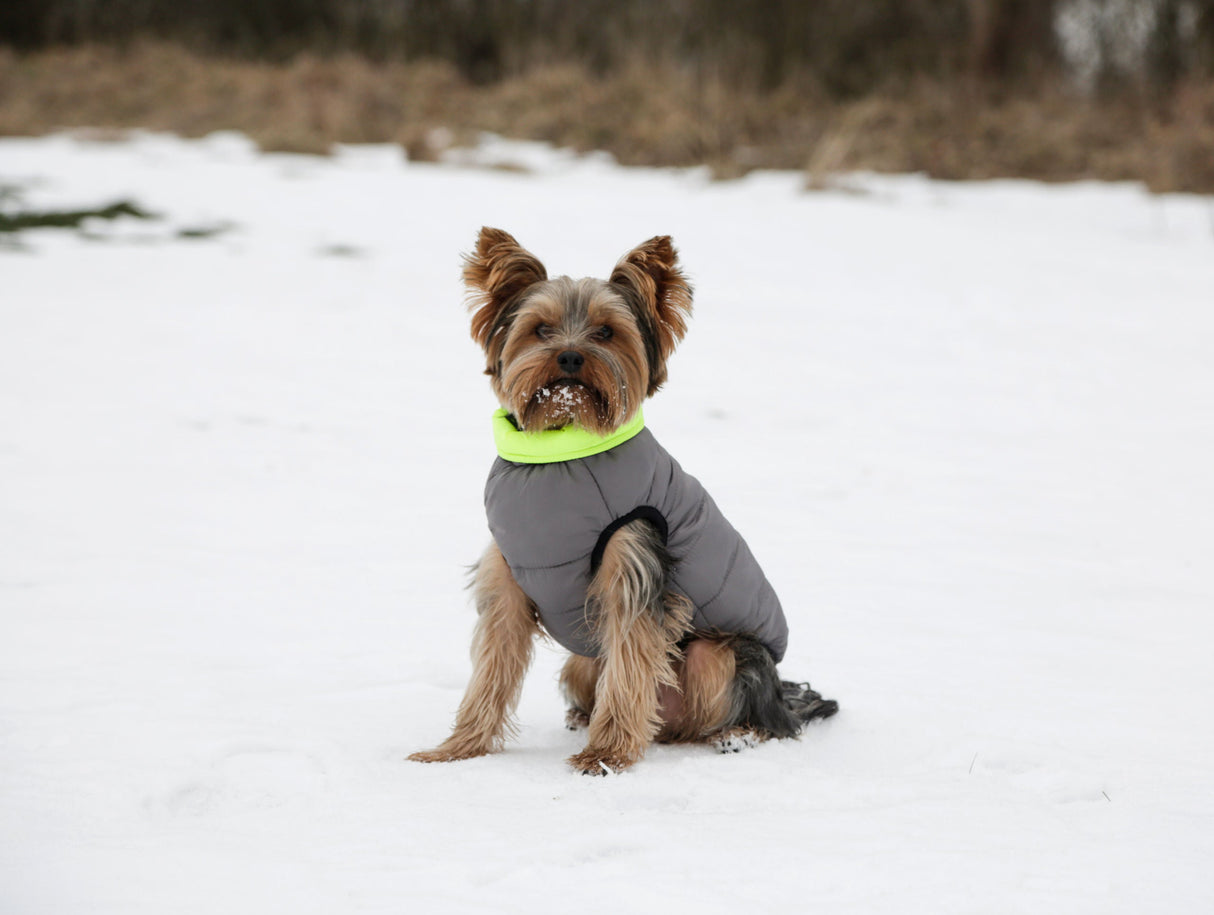 Kerbl Artikel 80658 im Online Shop kaufen