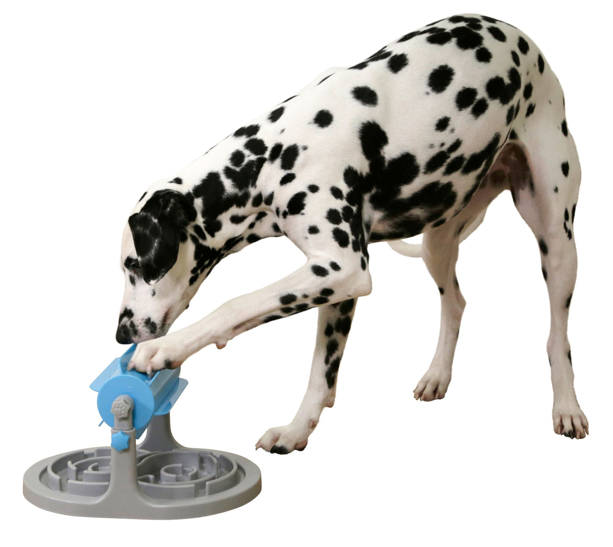 Kerbl Artikel 80812 im Online Shop kaufen