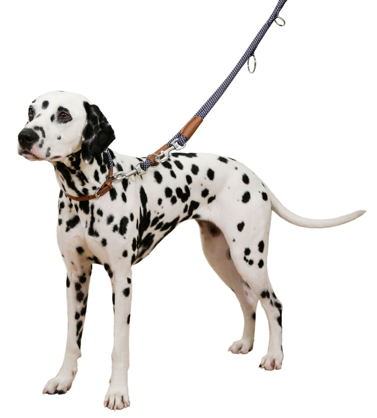 Kerbl Artikel 80215 im Online Shop kaufen