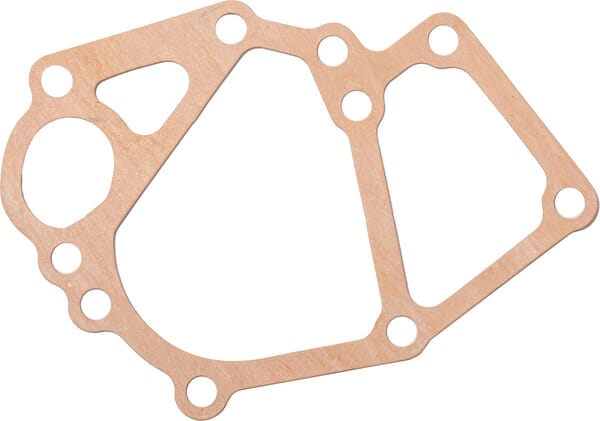 Perkins Pumpendichtung 145996900