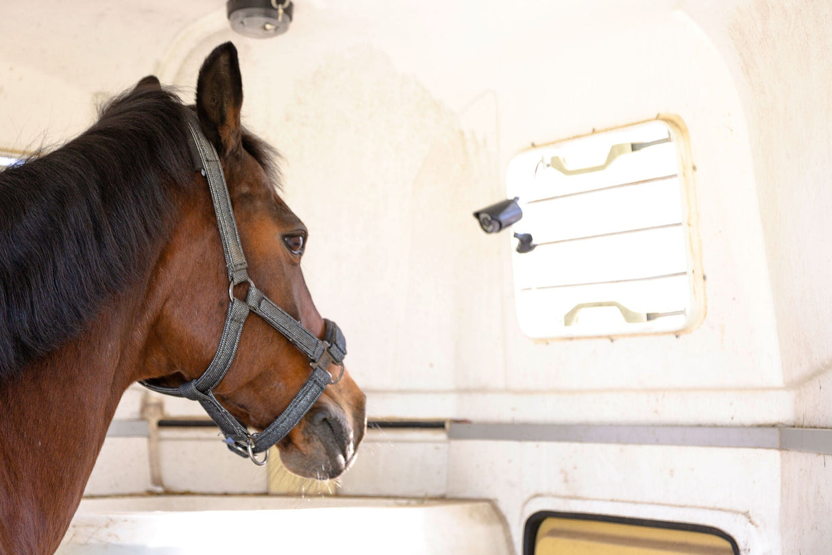 Kerbl SmartCam Akku/HD 10812