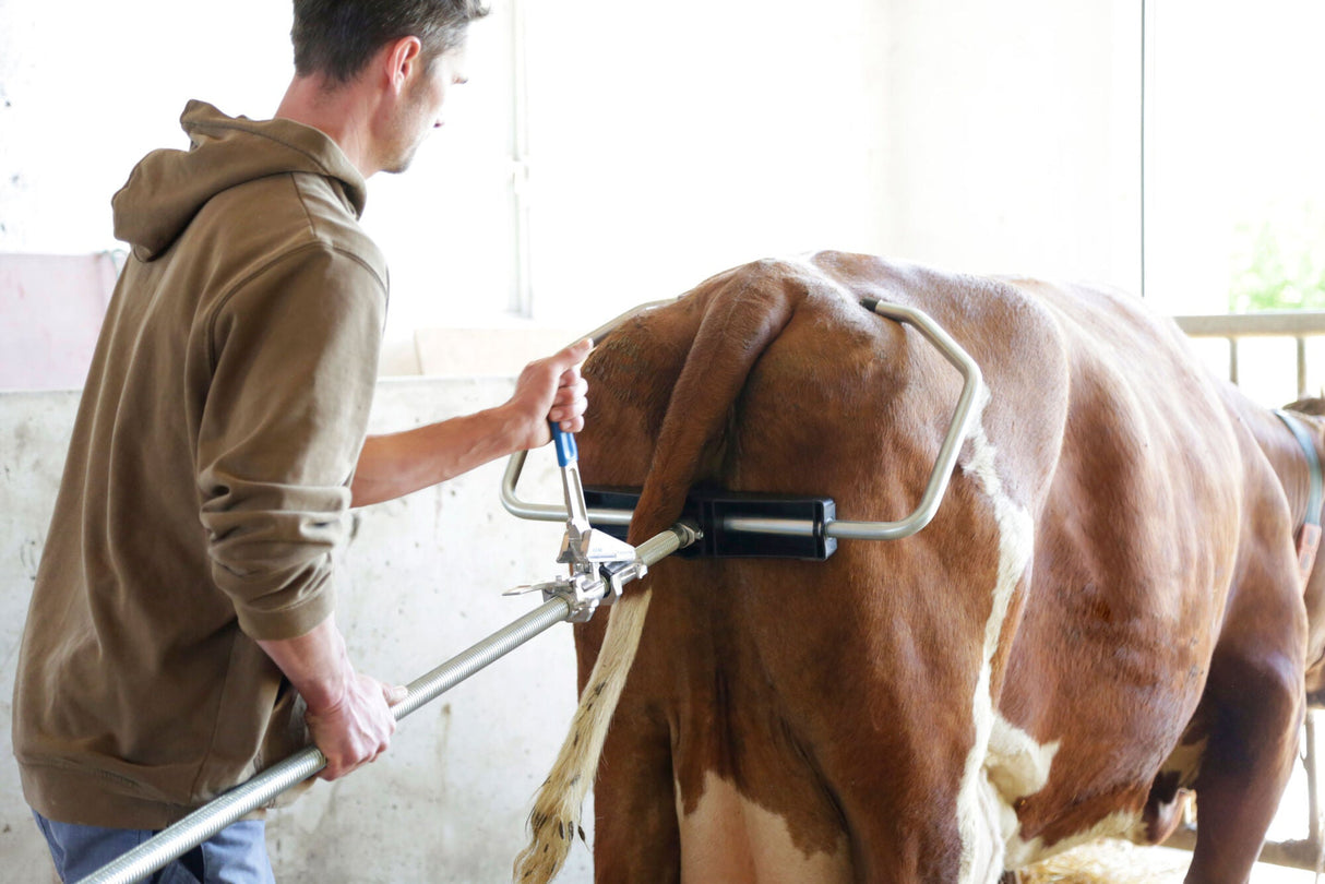 Kerbl Geburtshelfer E11 mit Mechanik 2020, Stahlbügel, KS-Stütze 10126