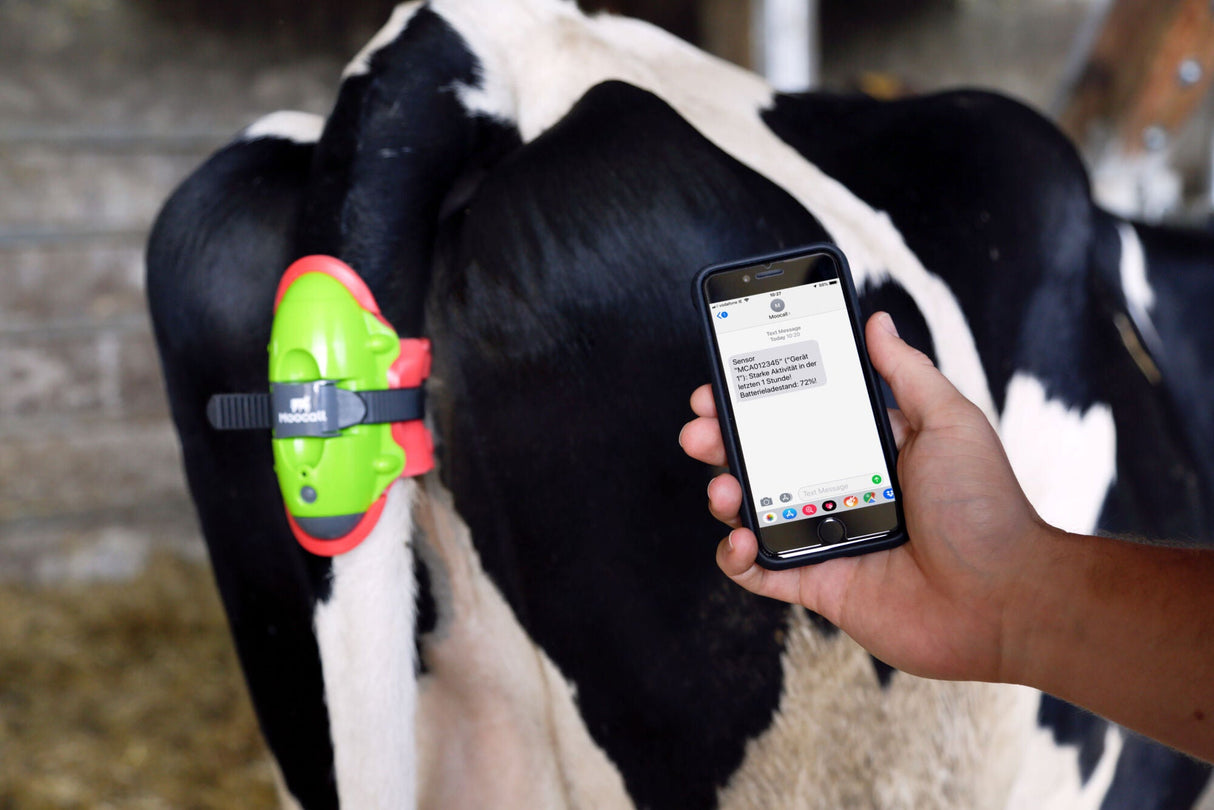 Kerbl MOOCALL Abkalbemelder für Kühe 1 Stück 10500