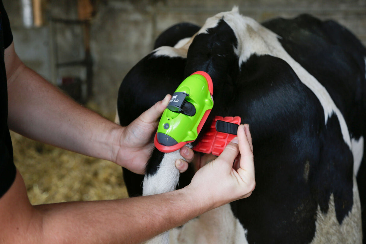 Kerbl MOOCALL Abkalbemelder für Kühe 1 Stück 10500