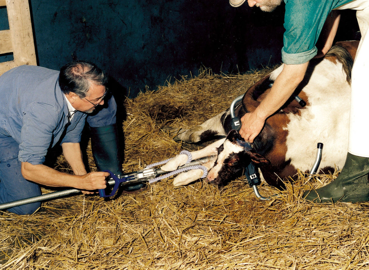 Kerbl HK-Geburtshelfer 2060 mit Stahlbügel u. KS-Stütze 102060