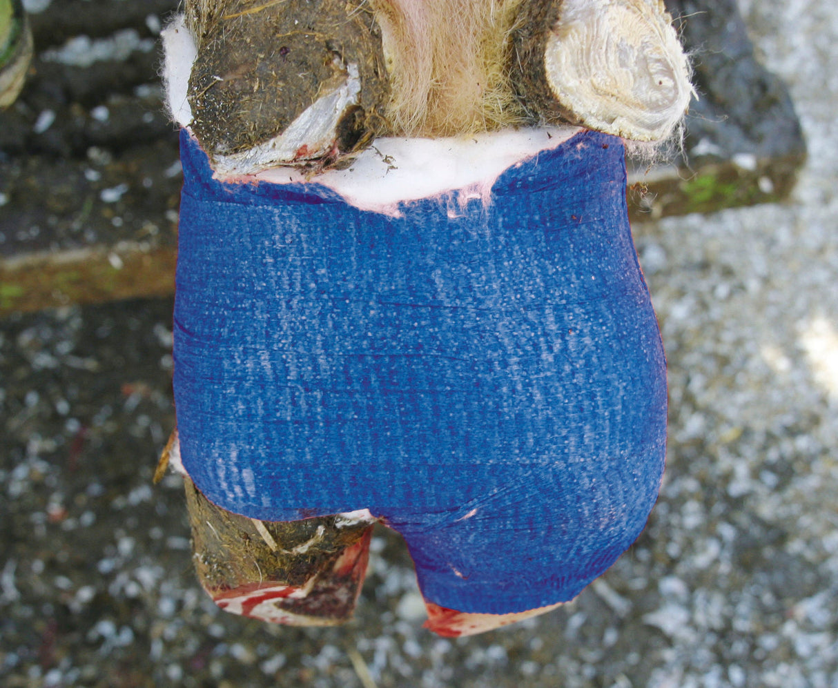 Kerbl Klauenbandage VetLastic selbsthaft. Bandage, blau 7,5cm 1667