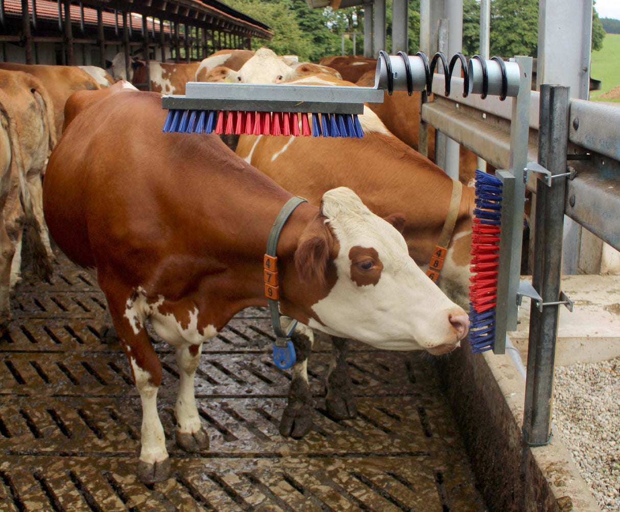 Kerbl Artikel 29325 im Online Shop kaufen