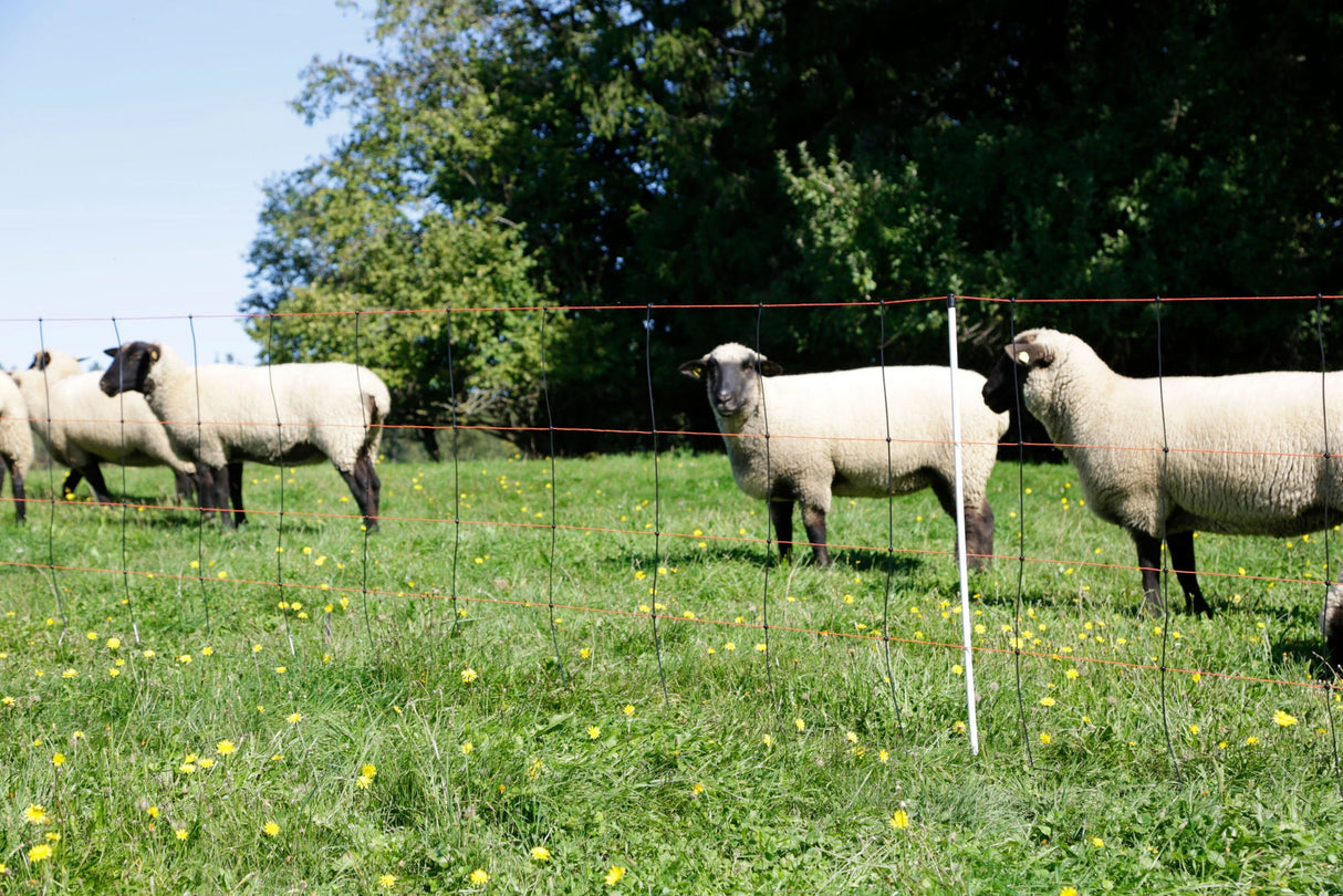 Kerbl TITAN LIGHT Schafnetz 50m Höhe: 90cm Einzelspitz 1 Stück 27351