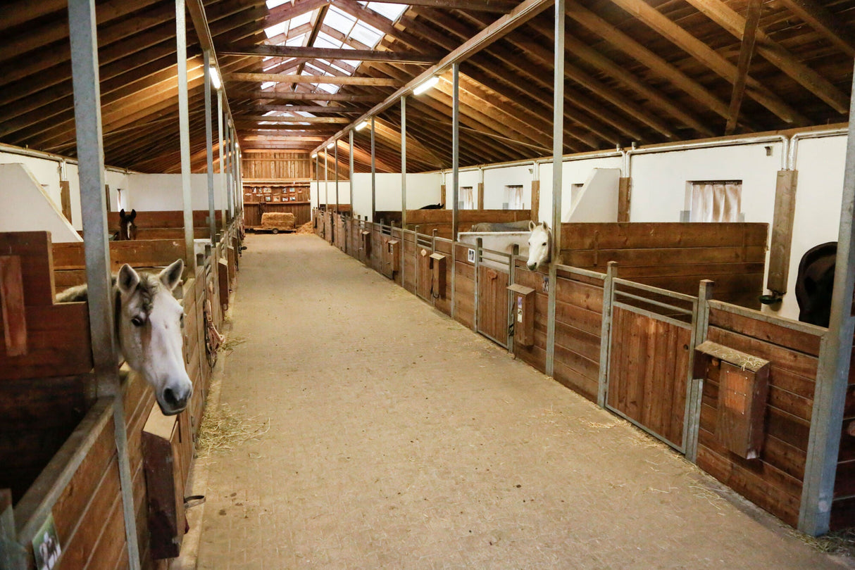 Kerbl IPCam 360 FHD mini 1 Stück 10825