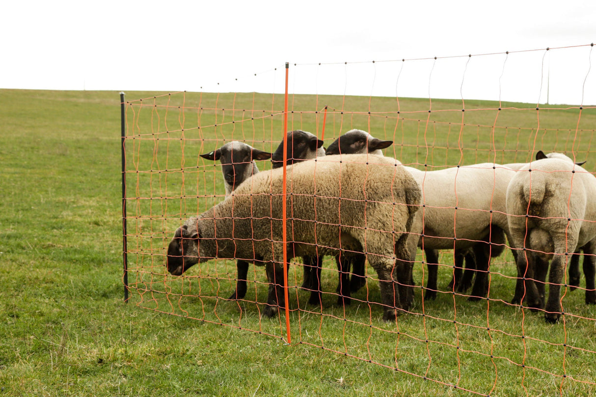 Kerbl Unterstützungspfahl für Weide- netze, 145cm, Ø14mm,verzinkt 1 Stück 27350