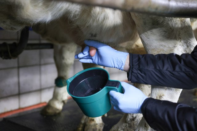 Kerbl Vormelkbecher 1,5 Liter Premium, grün - 15670