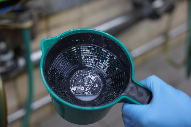 Kerbl Vormelkbecher 1,5 Liter Premium, grün - 15670