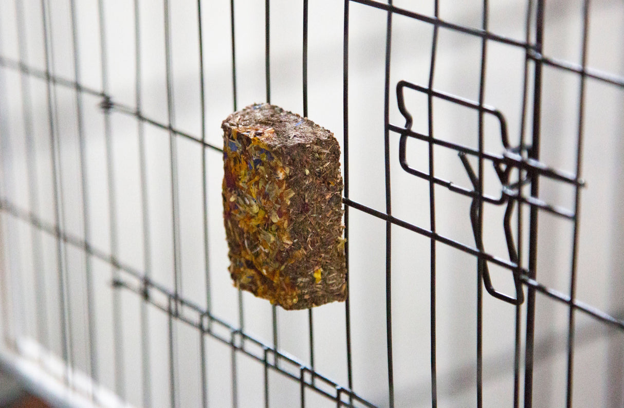 Kerbl Artikel 81797 im Online Shop kaufen