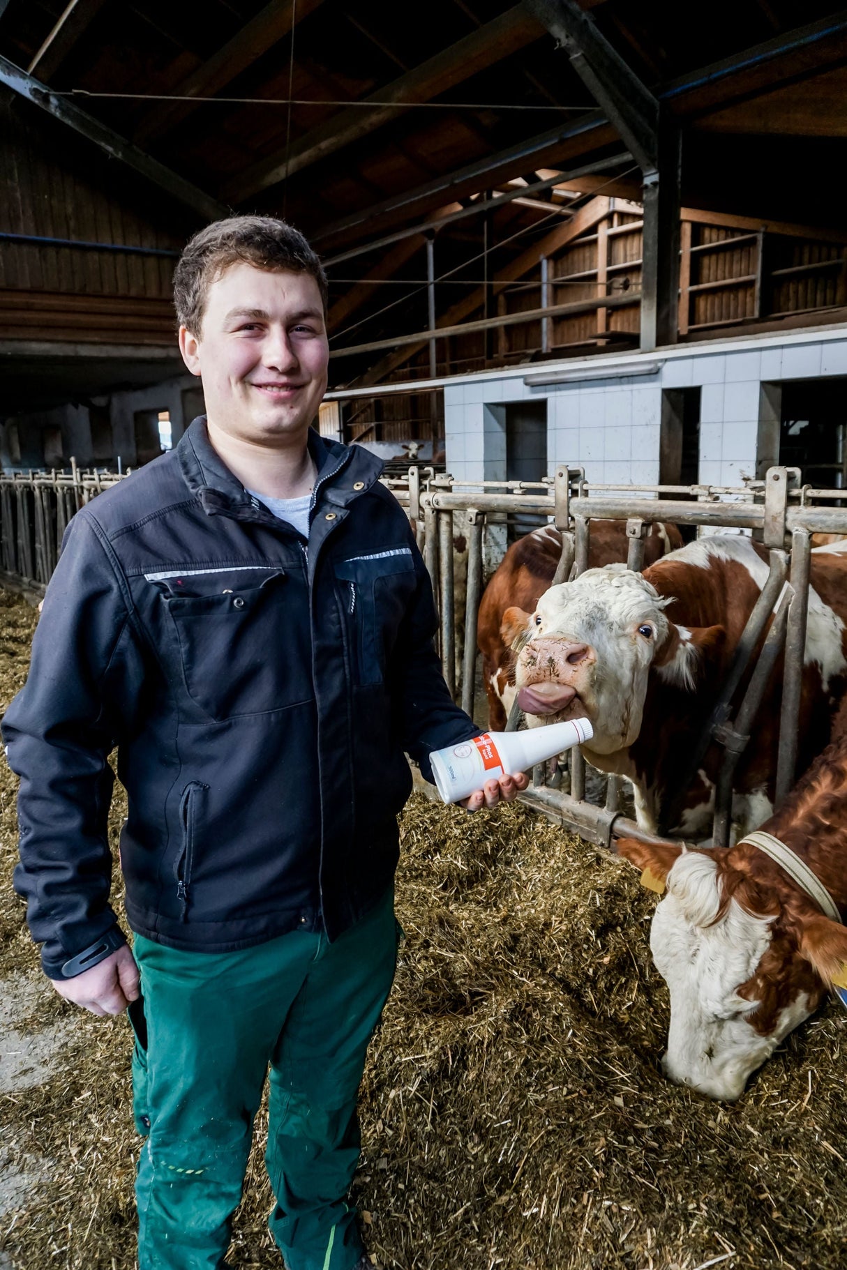 Kerbl Artikel 15974 im Online Shop kaufen