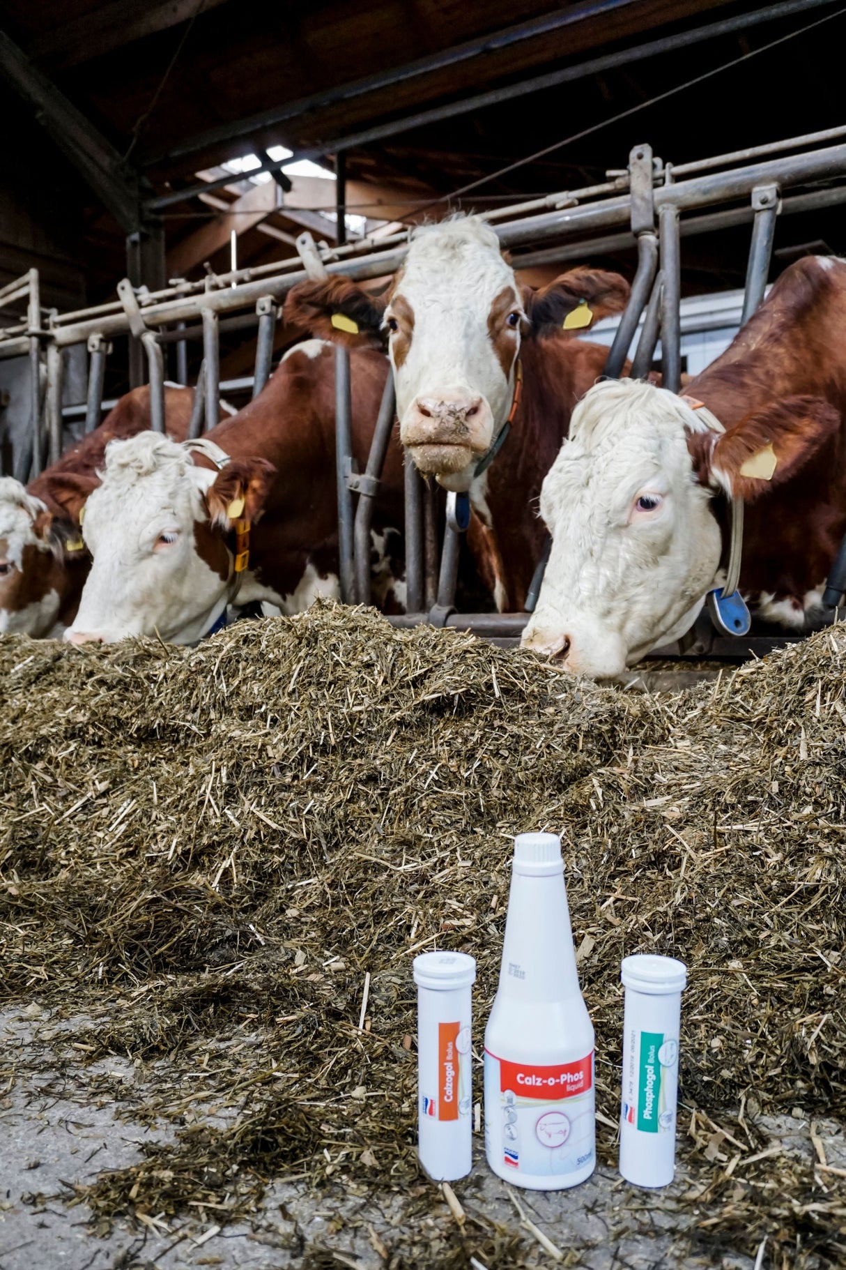 Kerbl Artikel 15974 im Online Shop kaufen