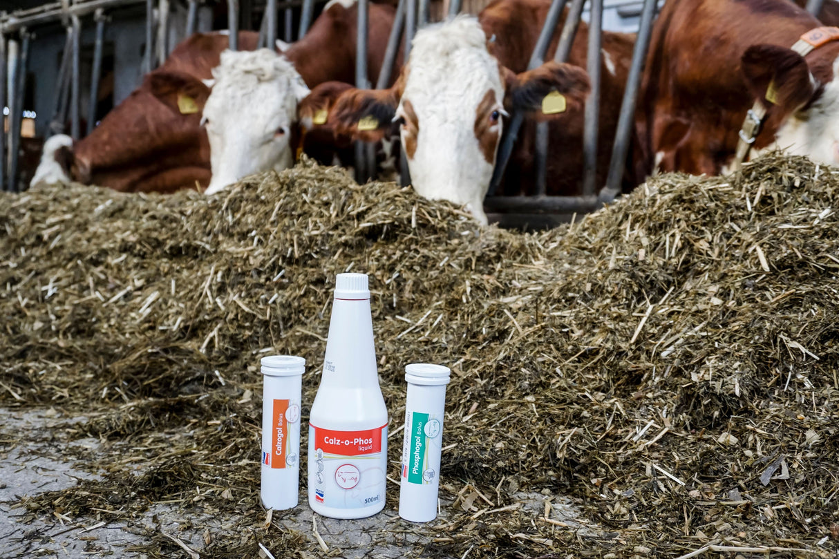 Kerbl Artikel 15974 im Online Shop kaufen