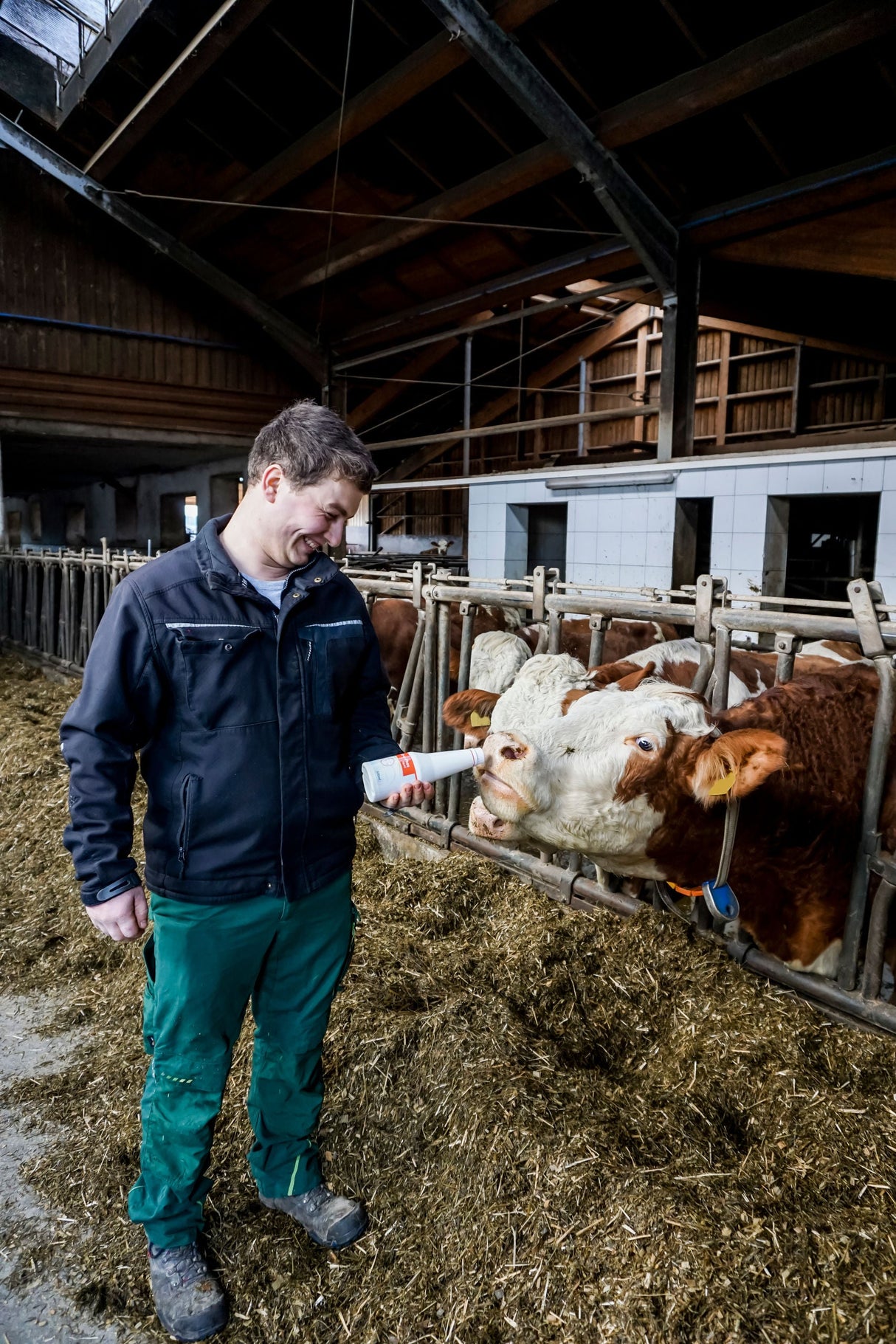 Kerbl Artikel 15974 im Online Shop kaufen