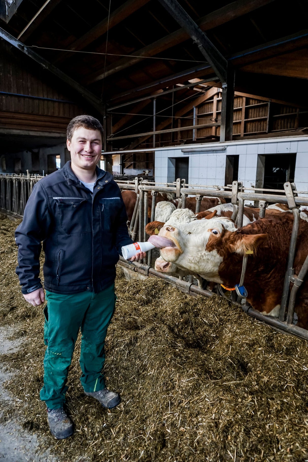 Kerbl Artikel 15974 im Online Shop kaufen