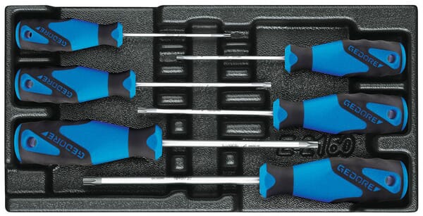 Module tournevis Torx