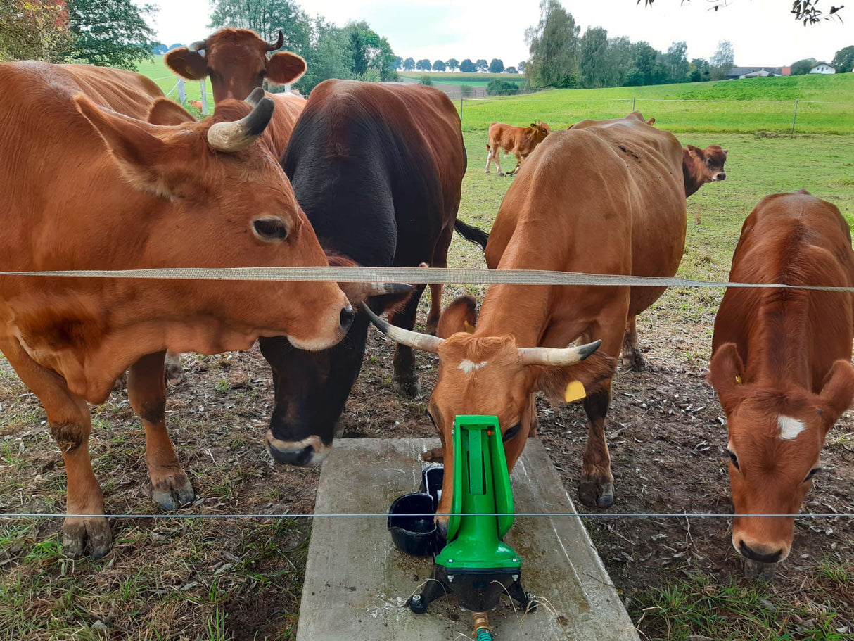 Kerbl Artikel 221135 im Online Shop kaufen