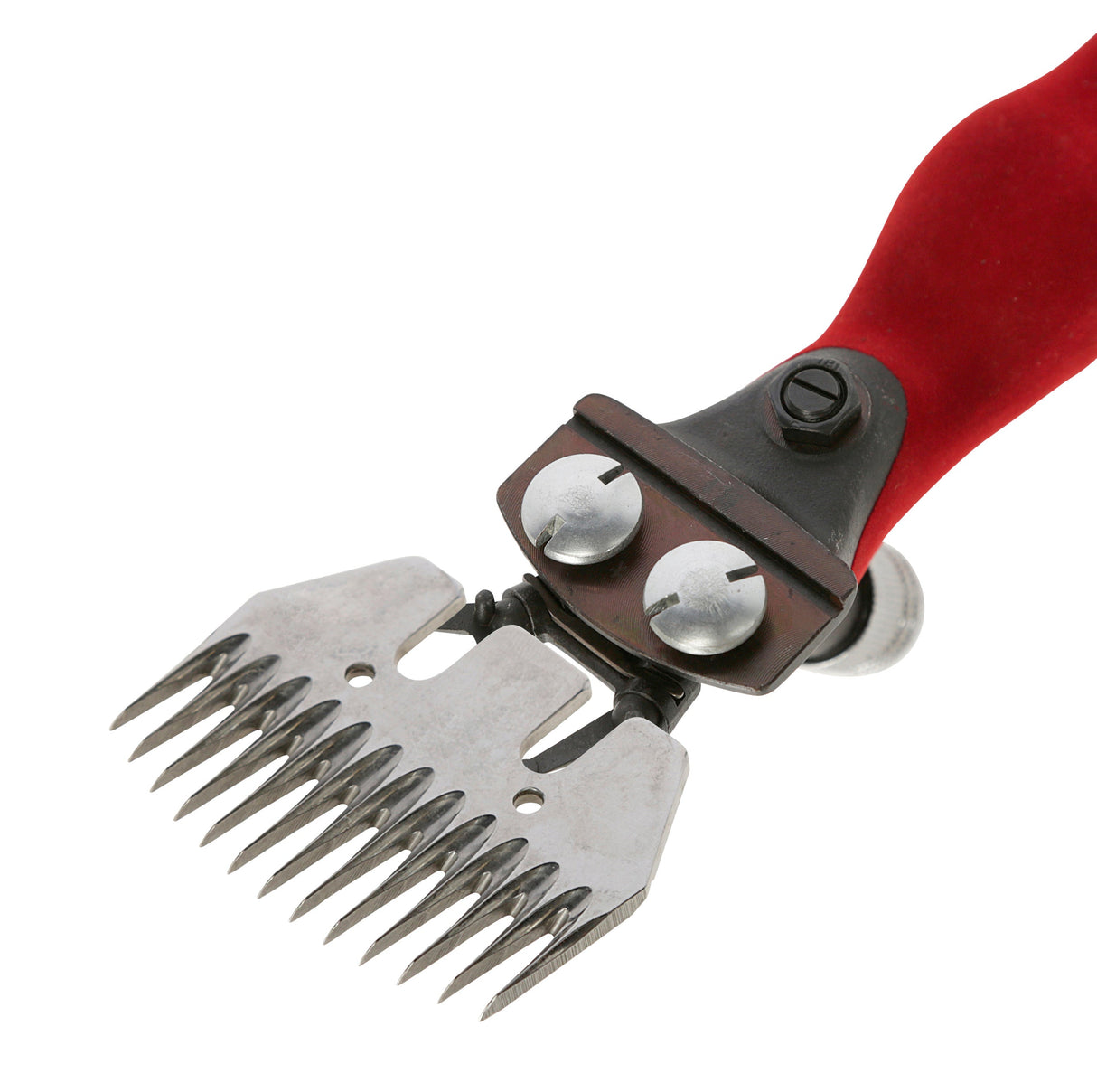 Kerbl Schafschuranlage Wellington Worm-Drive, mit Handstück 1 Stück 18150