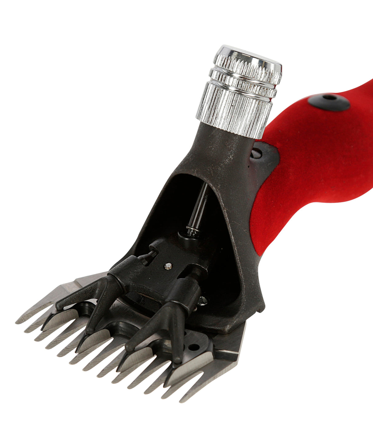 Kerbl Schafschuranlage Wellington Worm-Drive, mit Handstück 1 Stück 18150