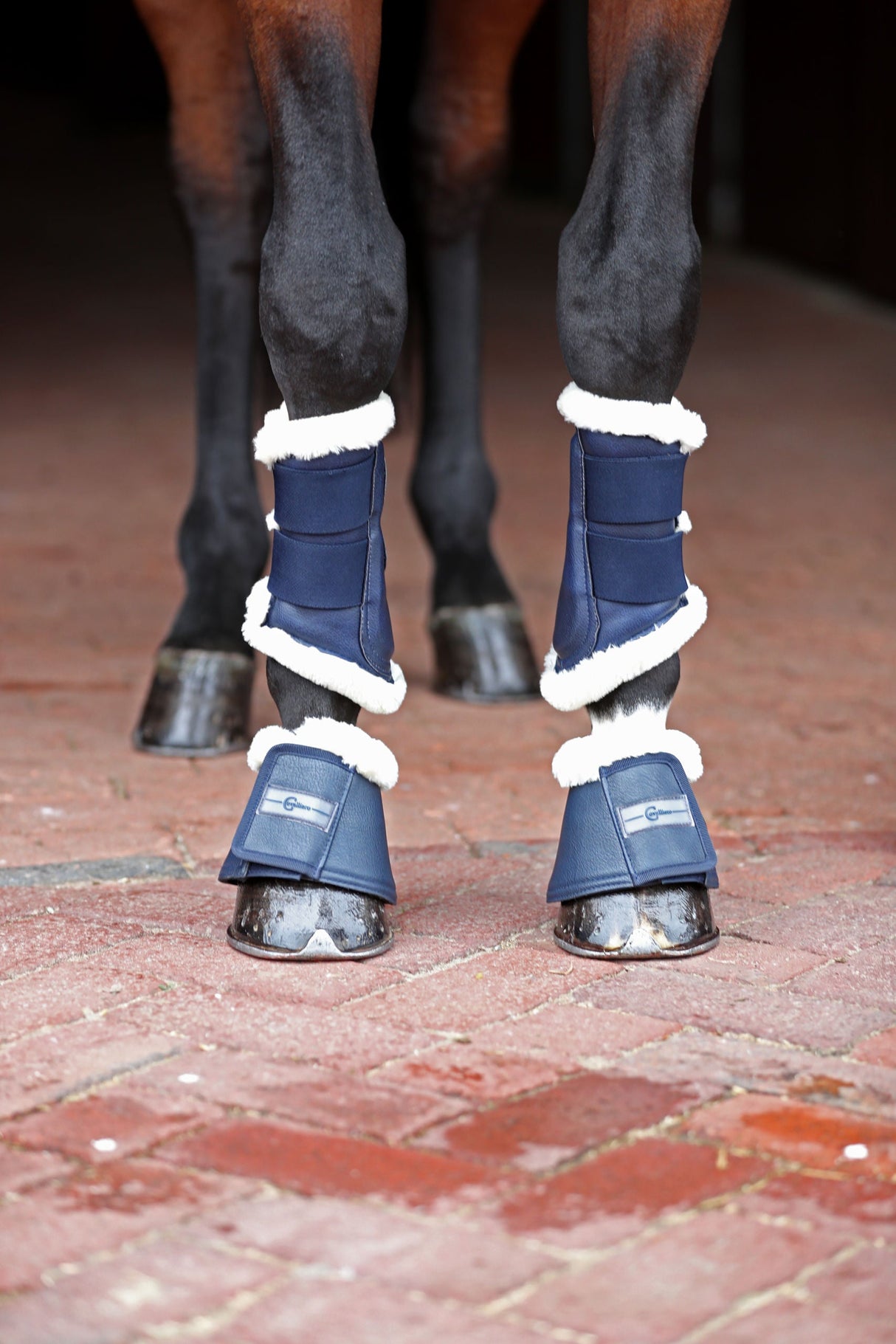 Kerbl Artikel 3297653 im Online Shop kaufen