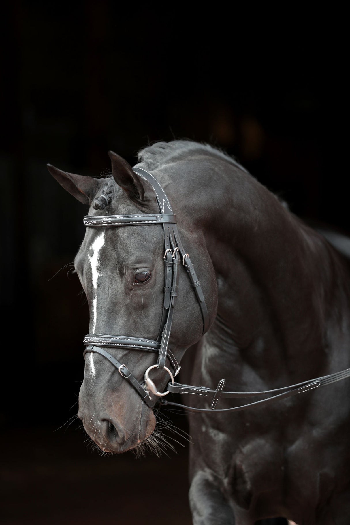 Kerbl Artikel 326137 im Online Shop kaufen