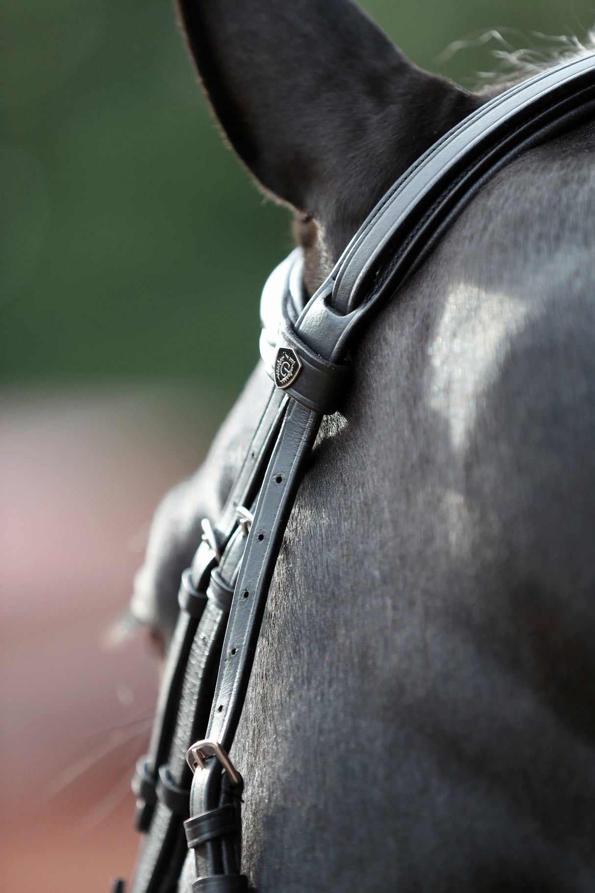 Kerbl Trensenzaum Cancun schwarz, Pony 1 Stück 3297734