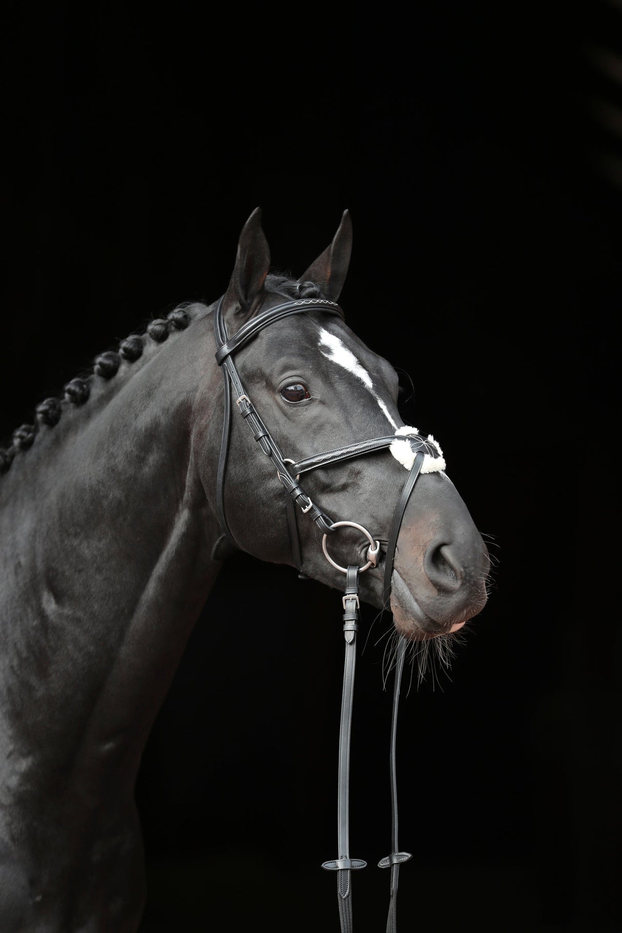 Kerbl Trensenzaum Cancun schwarz, Pony 1 Stück 3297734