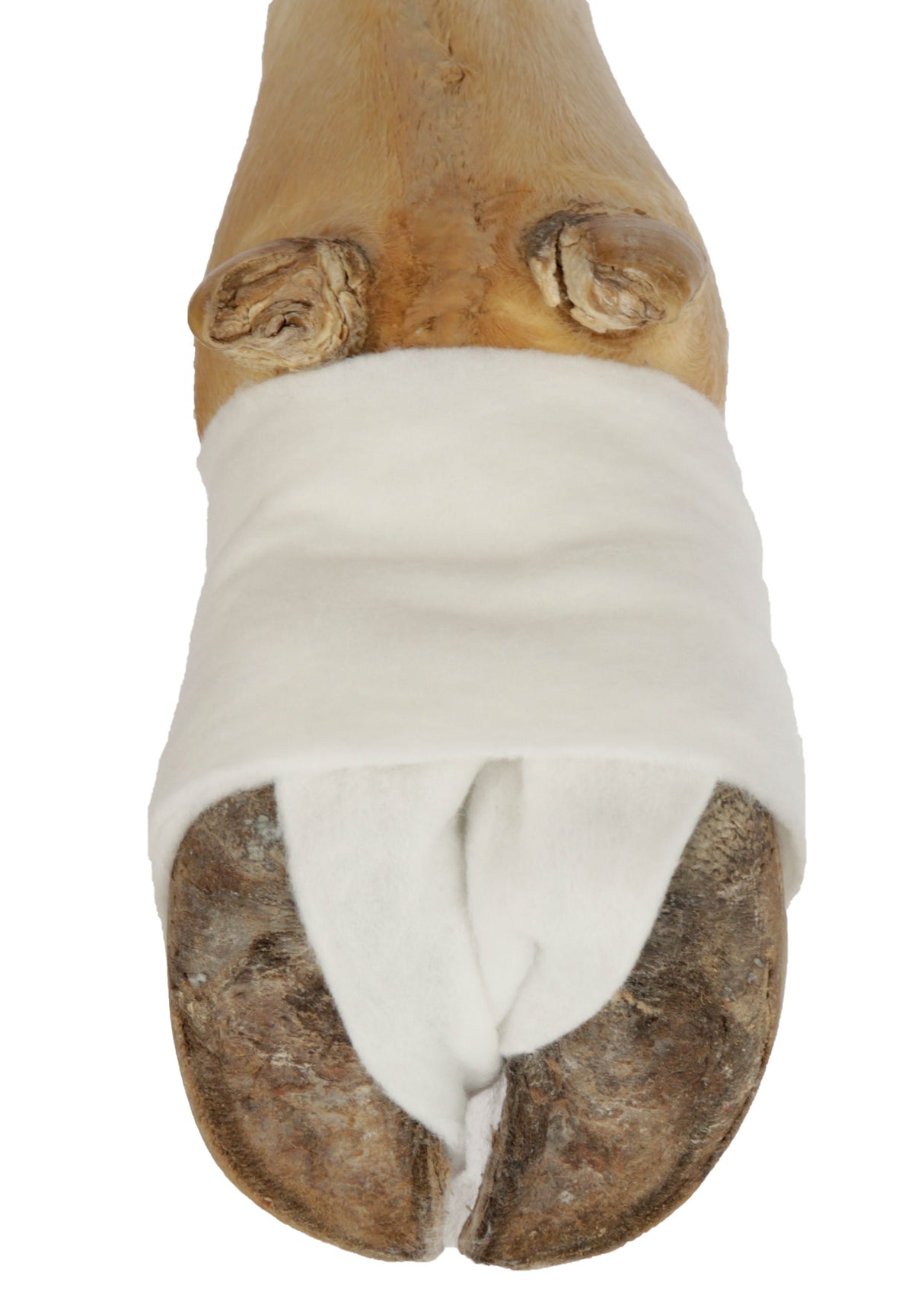 Kerbl Artikel 16478 im Online Shop kaufen