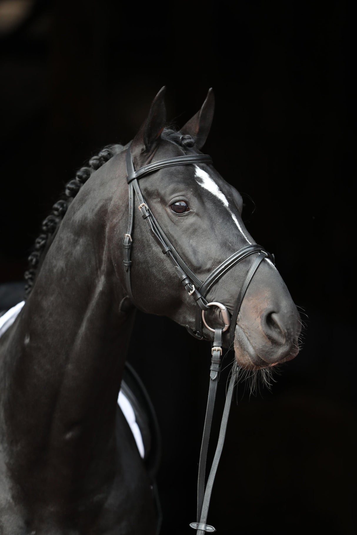 Kerbl Artikel 32170 im Online Shop kaufen