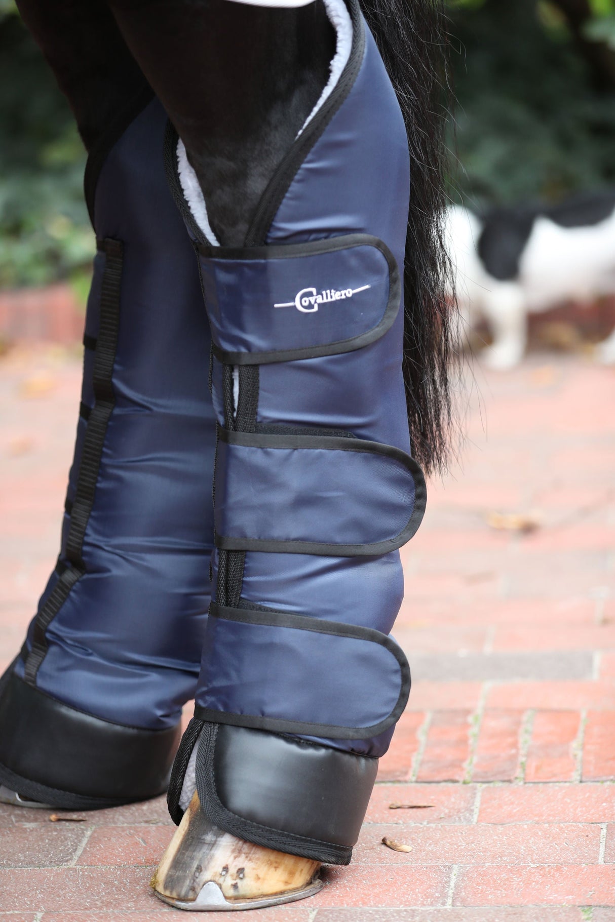 Kerbl Artikel 32452 im Online Shop kaufen