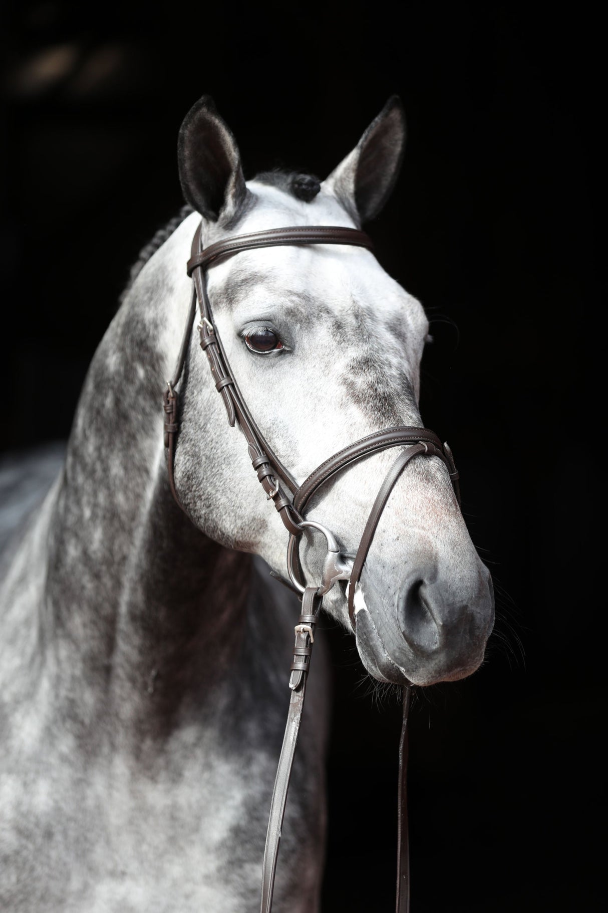 Kerbl Artikel 321714 im Online Shop kaufen