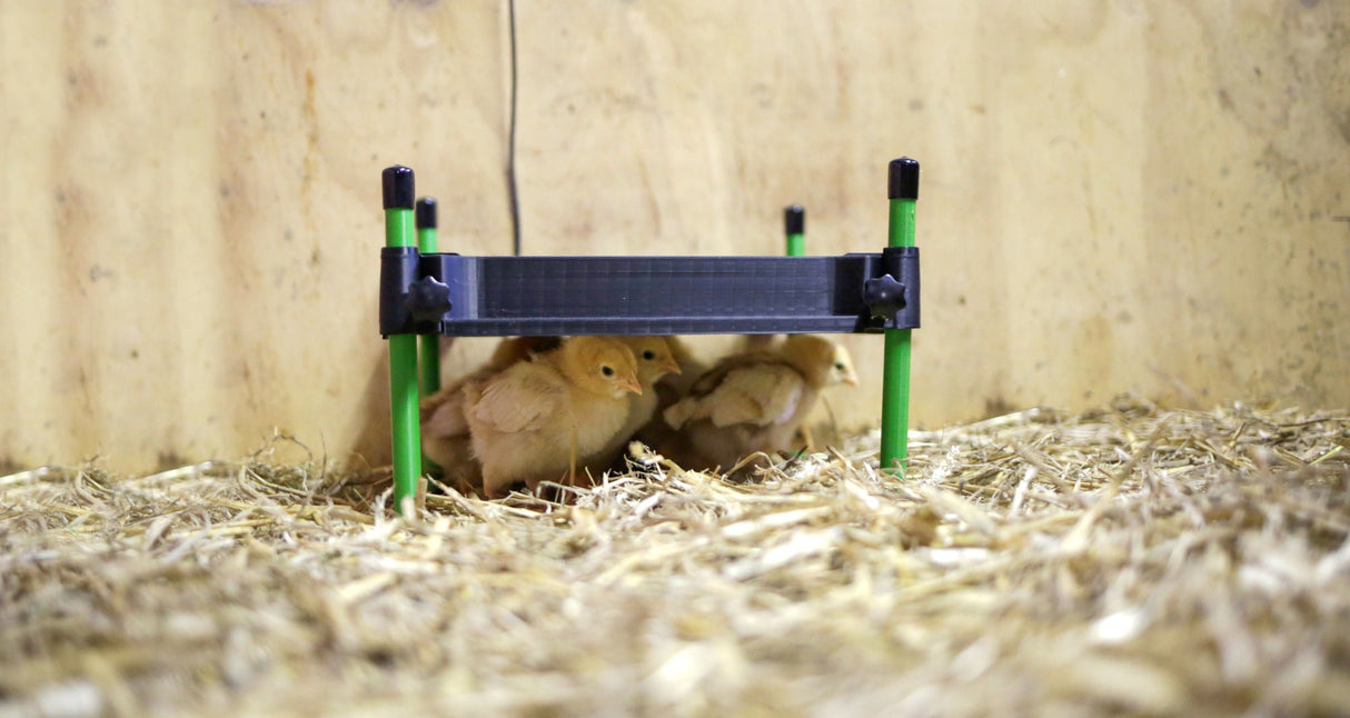 Kerbl Wärmeplatte für Küken CosyHeat, 30x30 cm 24 V, integr. Thermostat - 70420