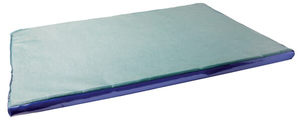 KRAMP Desinfektionsmatte 850 x 600 x 30 mm 1640452020