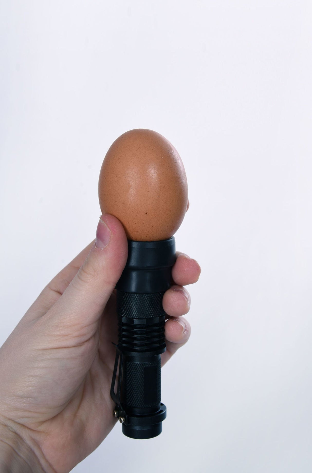 Kerbl LED-Schierlampe inkl. Batterie und zwei Aufsätzen 1 Stück 73126