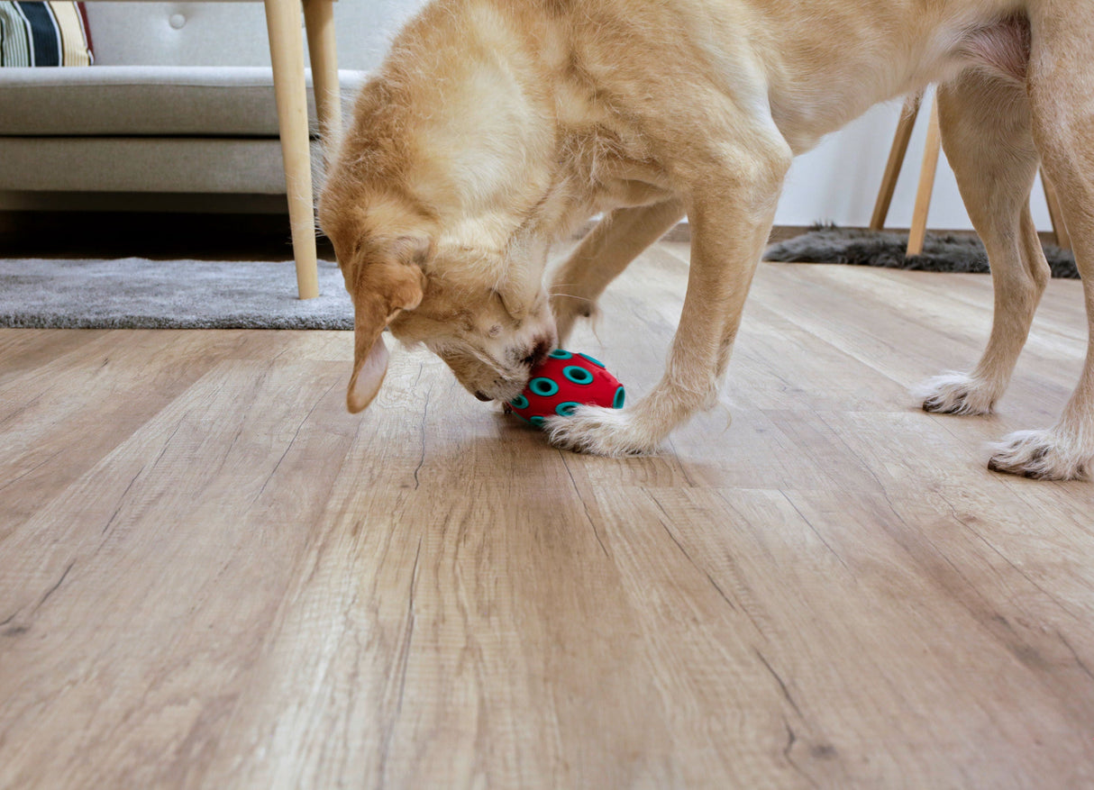 Kerbl Artikel 80985 im Online Shop kaufen