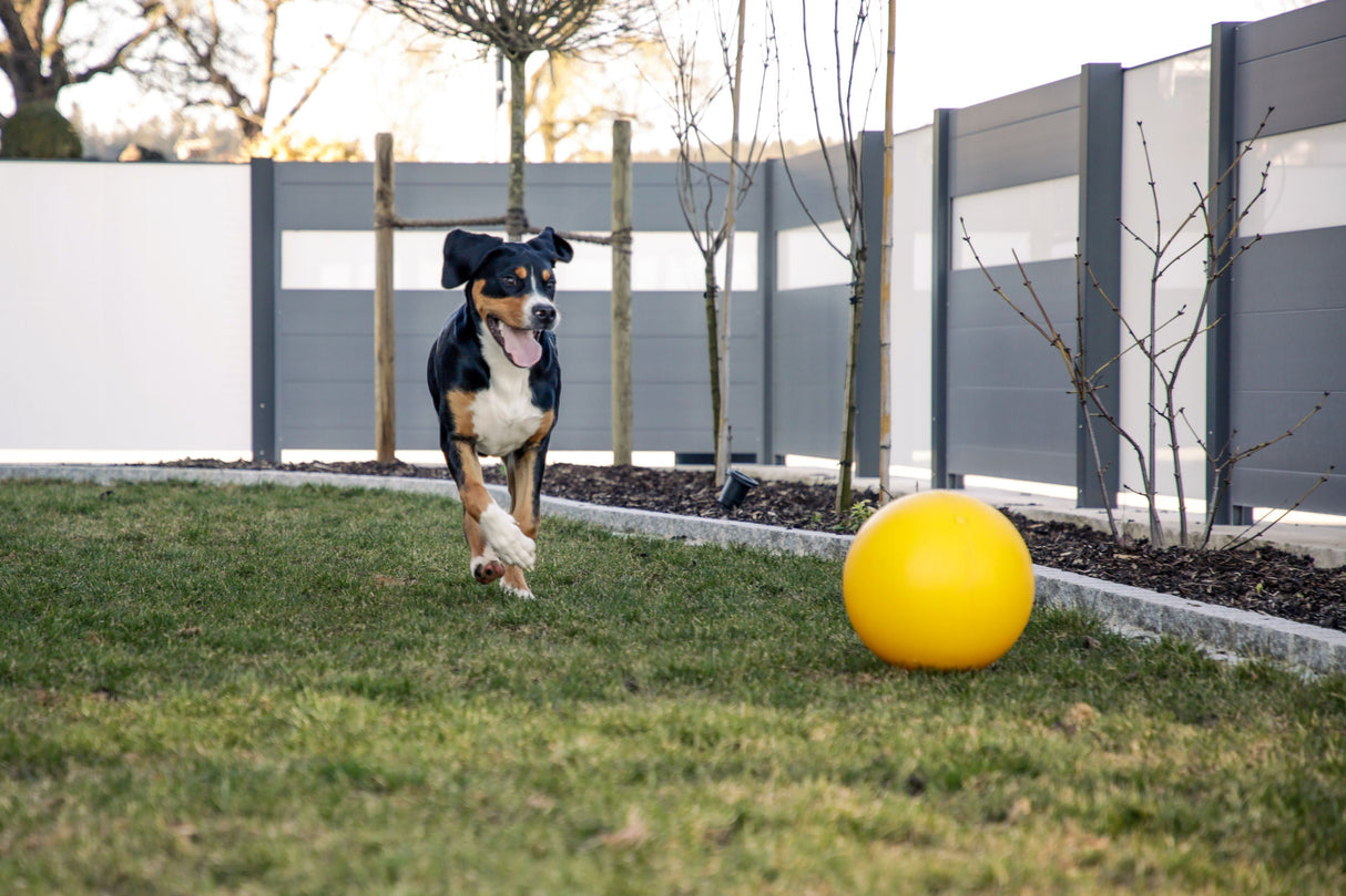 Kerbl Artikel 82274 im Online Shop kaufen