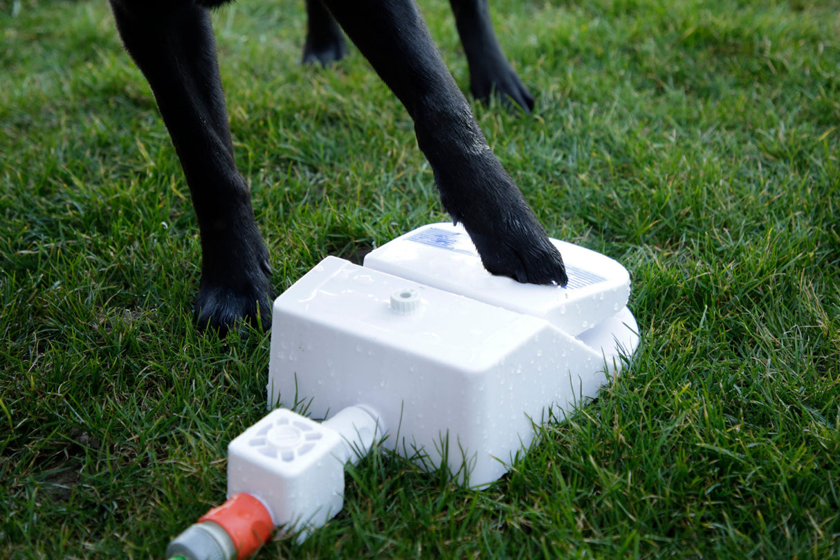 Kerbl Artikel 80542 im Online Shop kaufen