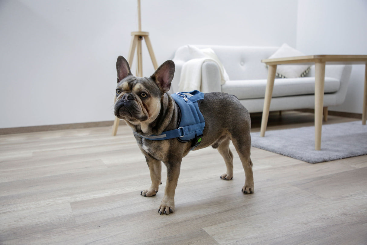 Kerbl Artikel 80210 im Online Shop kaufen