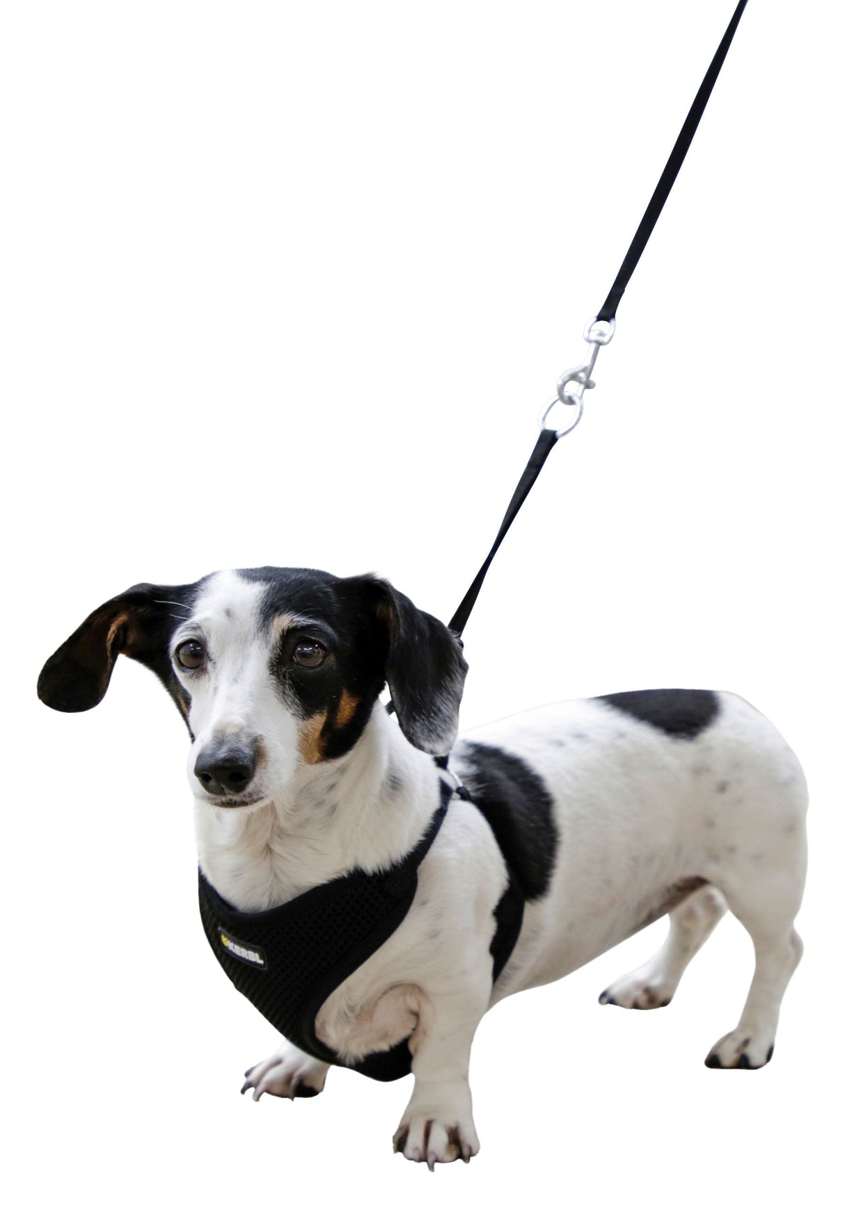 Kerbl Artikel 80677 im Online Shop kaufen